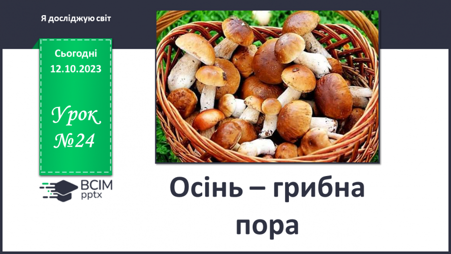 №024 - Осінь - грибна пора0 №024 - Осінь - грибна пора0