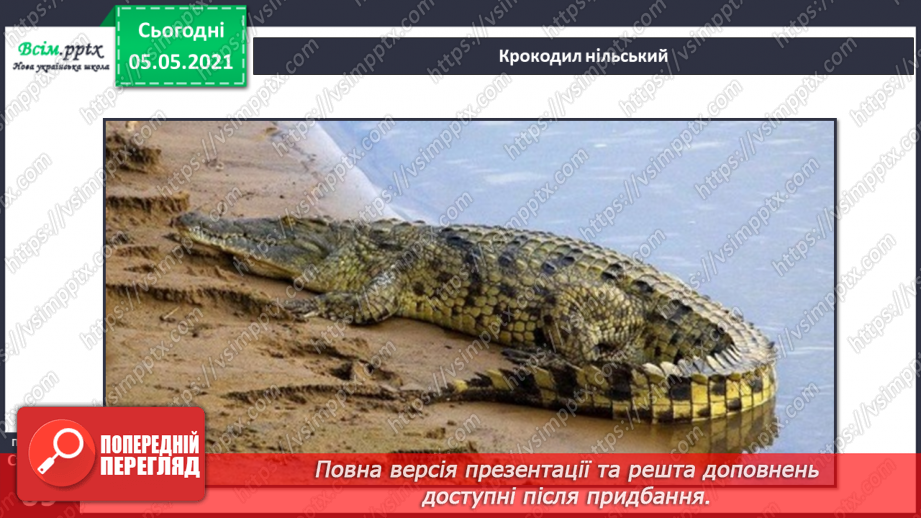 №044 - Різноманітність тварин у природі. Плазуни14 №044 - Різноманітність тварин у природі. Плазуни14