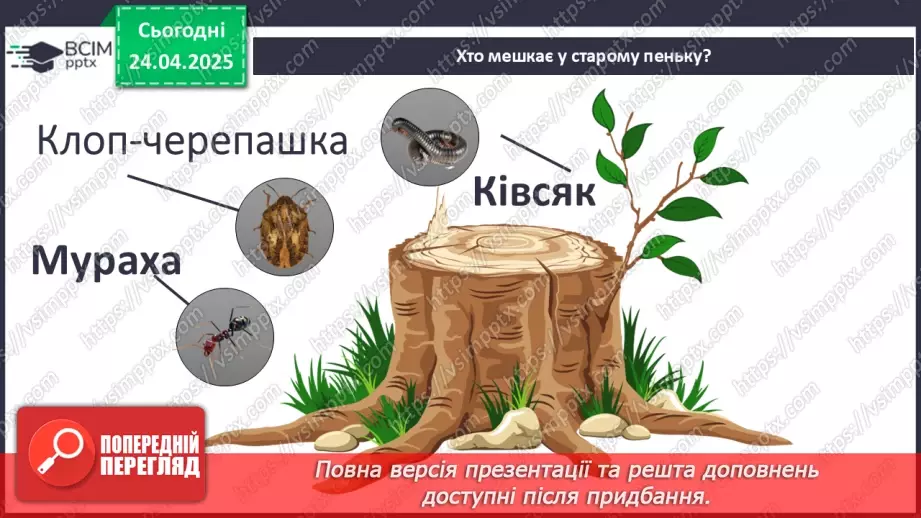 №0094 - Проект «Хто мешкає у старому пеньку?14 №0094 - Проект «Хто мешкає у старому пеньку?14