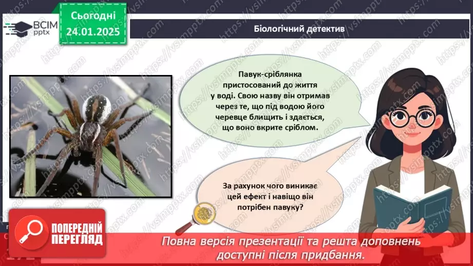 №55 - Павукоподібні.4 №55 - Павукоподібні.4