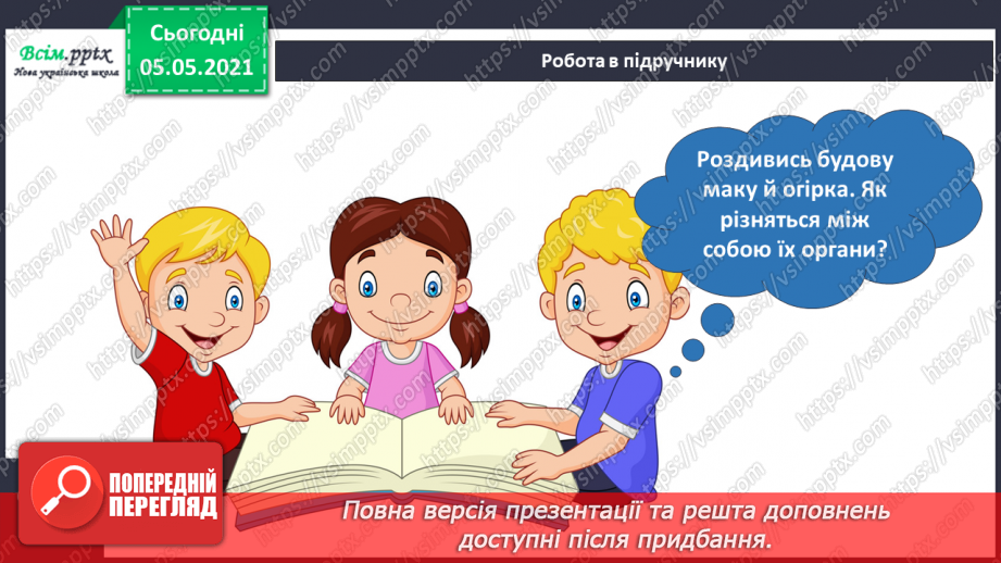 №030 - Рослини. Будова рослин18 №030 - Рослини. Будова рослин18