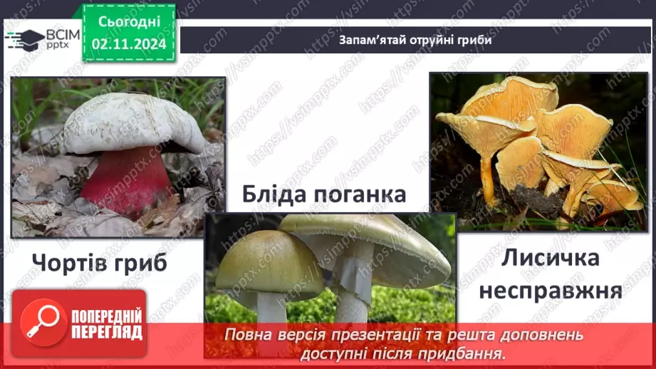 №0033 - Чи всі гриби їстівні14 №0033 - Чи всі гриби їстівні14