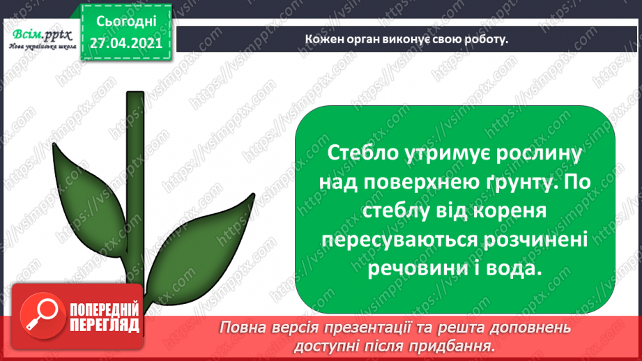 №011 - 012 - Якими бувають рослини? Як розрізняють рослини? Проводимо дослідження. Які умови потрібні рослинам для життя?8