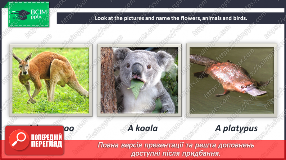 №081 - Fact File. Australia. Wildlife and Wild Flowers of Australia.15 №081 - Fact File. Australia. Wildlife and Wild Flowers of Australia.15
