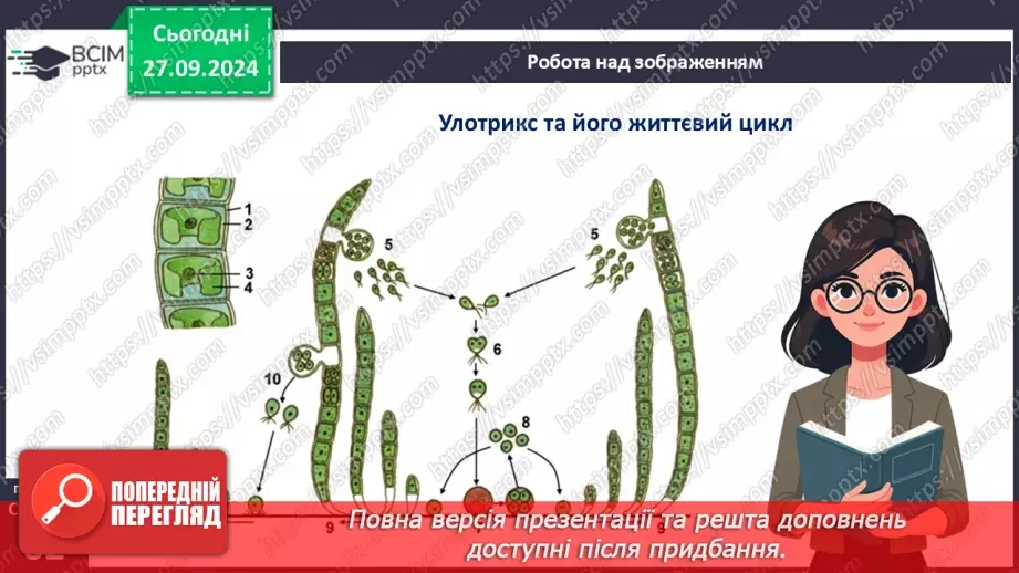 №18 - Загальні ознаки водоростей.14 №18 - Загальні ознаки водоростей.14