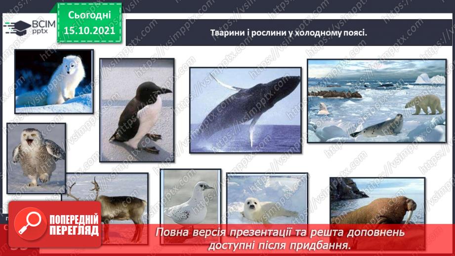 №026-28 - Рух Землі навколо Сонця. Теплові пояси21 №026-28 - Рух Землі навколо Сонця. Теплові пояси21