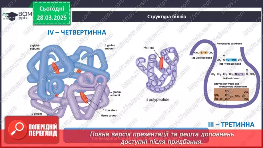 №29-30 - Білки.11 №29-30 - Білки.11