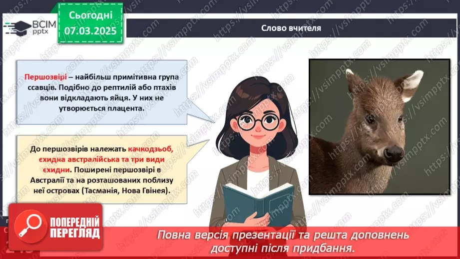 №68 - Різноманітність ссавців. Першозвірі. Сумчасті.  Комахоїдні. Рукокрилі. Гризуни.4
