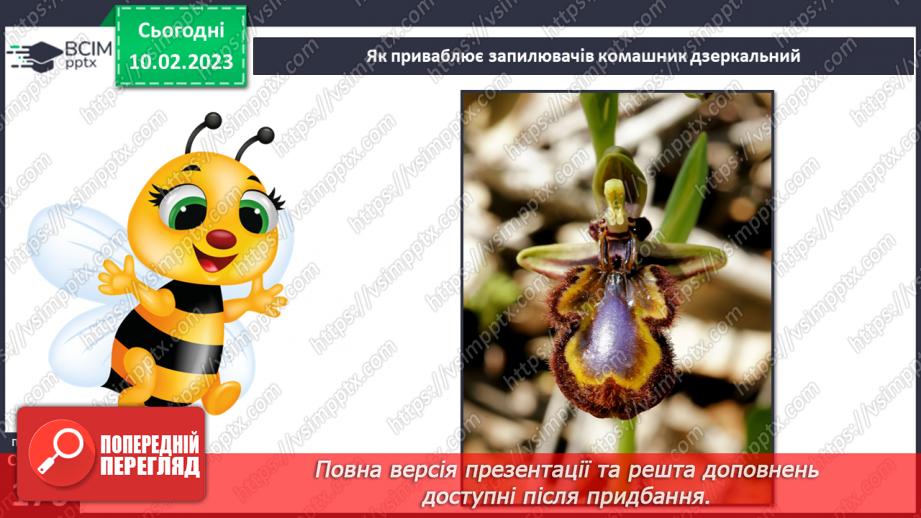 №45 - Пристосування до життя та різноманітність рослин. Секрети насінини.12