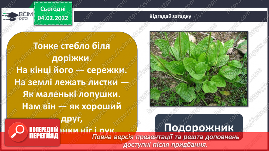 №064-65 - У чому сила подорожника? Комікс: «Що таке справедливість?»5