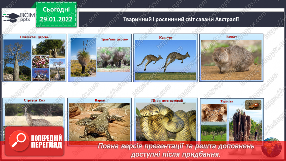 №063 - Рослинний і тваринний світ Австралії.13 №063 - Рослинний і тваринний світ Австралії.13