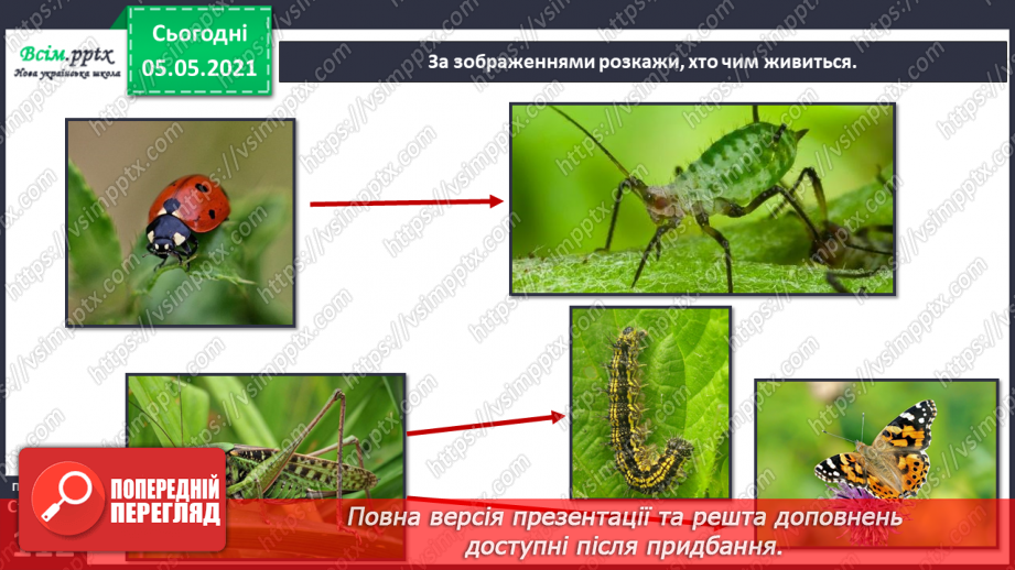 №096 - Ясніє в кожній квітці дивина.11 №096 - Ясніє в кожній квітці дивина.11