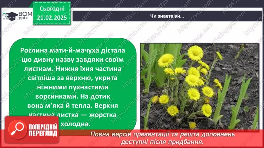 №0071 - Як почуваються рослини навесні20