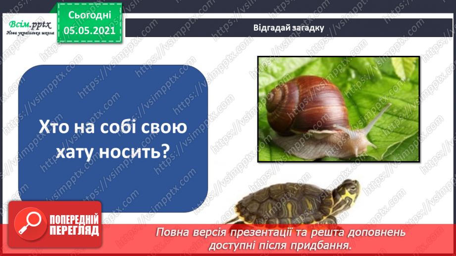 №044 - Різноманітність тварин у природі. Плазуни24 №044 - Різноманітність тварин у природі. Плазуни24