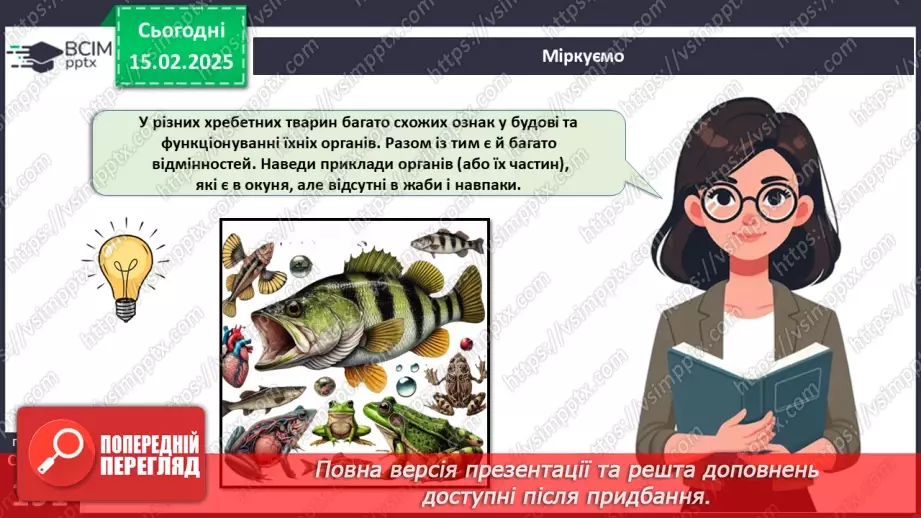 №61 - Амфібії та Рептилії.28