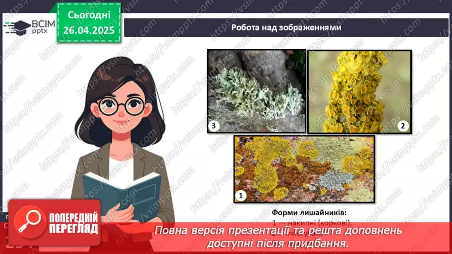 №79 - Лишайники.14 №79 - Лишайники.14