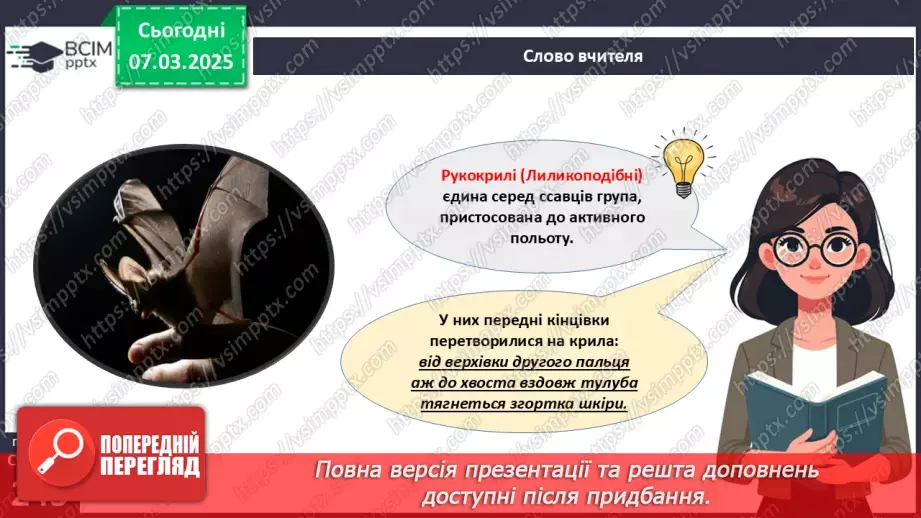 №68 - Різноманітність ссавців. Першозвірі. Сумчасті.  Комахоїдні. Рукокрилі. Гризуни.11