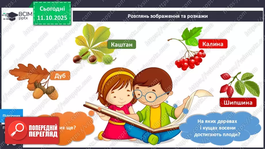 №024 - Рослини восени.15 №024 - Рослини восени.15