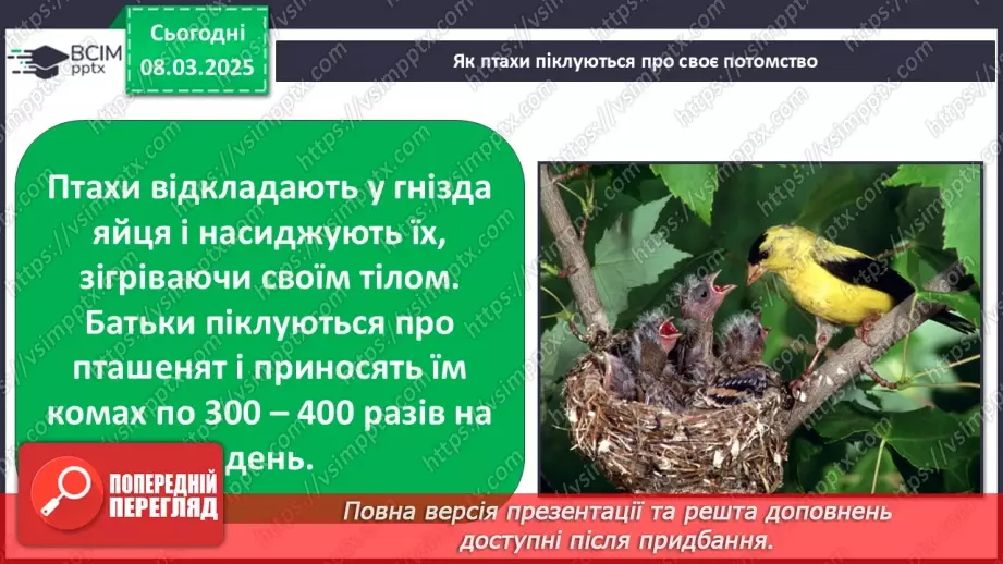 №0076 - Чому птахи в’ють гнізда35 №0076 - Чому птахи в’ють гнізда35