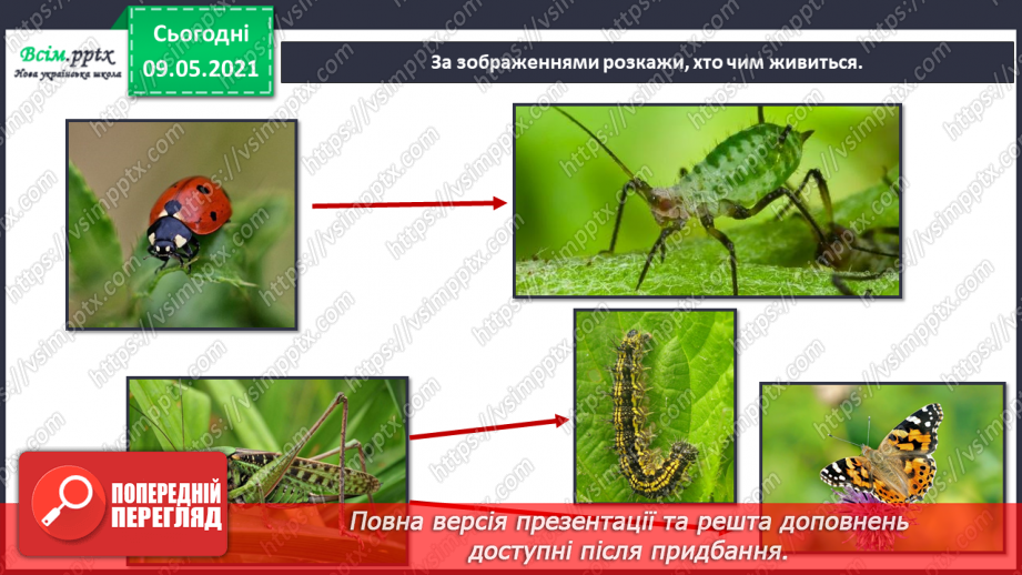 №074-75 - Які тварини живуть на луках, у степах і водоймах?11