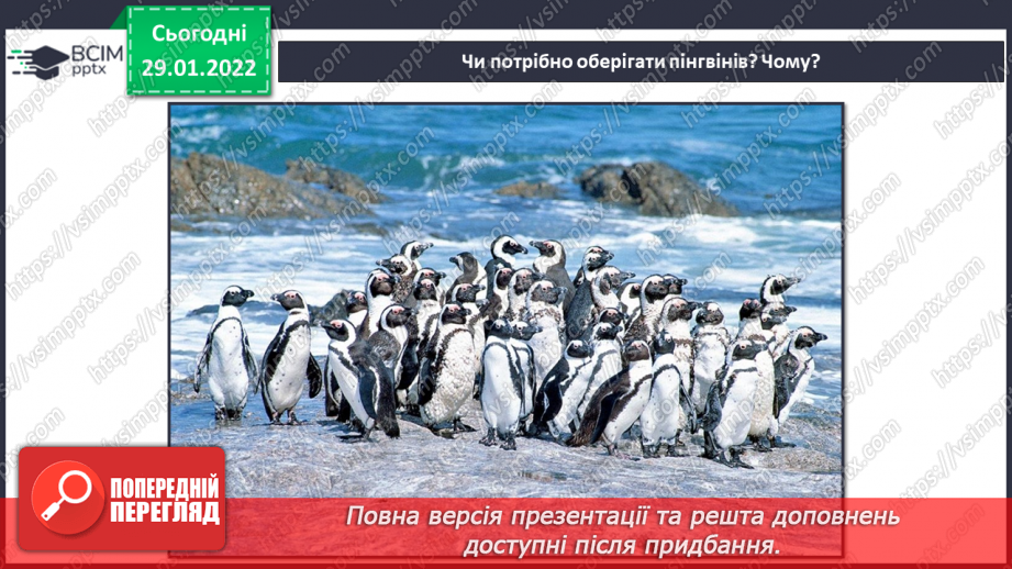 №21 - Інструктаж з БЖ.   Проєкт «Пінгвін»7 №21 - Інструктаж з БЖ.   Проєкт «Пінгвін»7