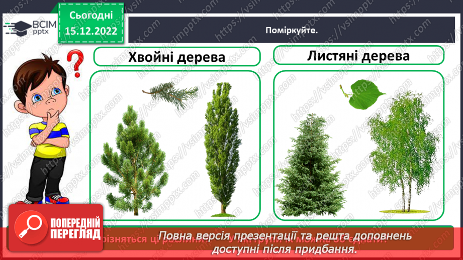 №0052 - Листяні і хвойні рослини7 №0052 - Листяні і хвойні рослини7