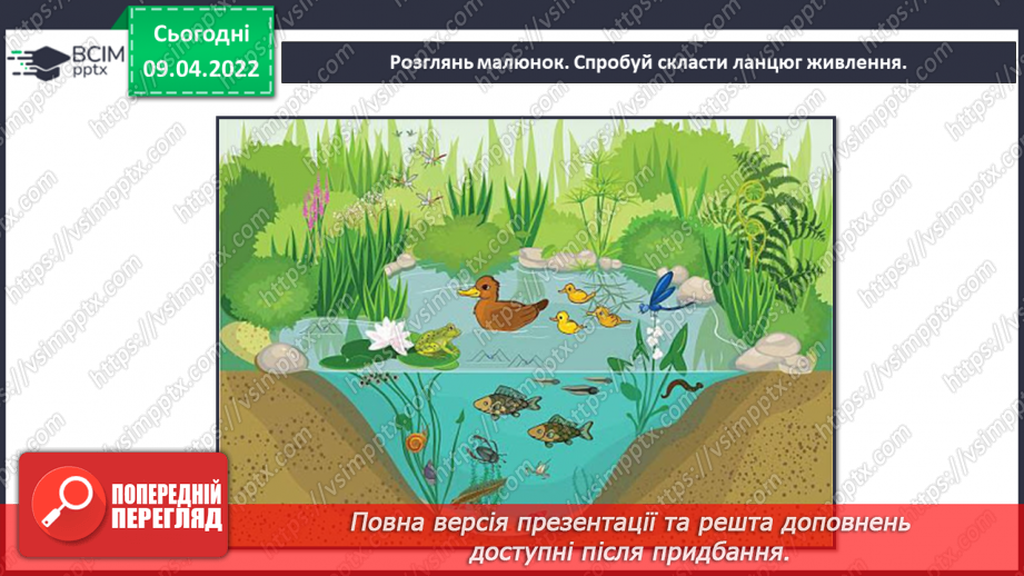 №086-87 - Природні угруповання рідного краю17 №086-87 - Природні угруповання рідного краю17