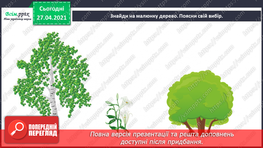 №011 - 012 - Якими бувають рослини? Як розрізняють рослини? Проводимо дослідження. Які умови потрібні рослинам для життя?23