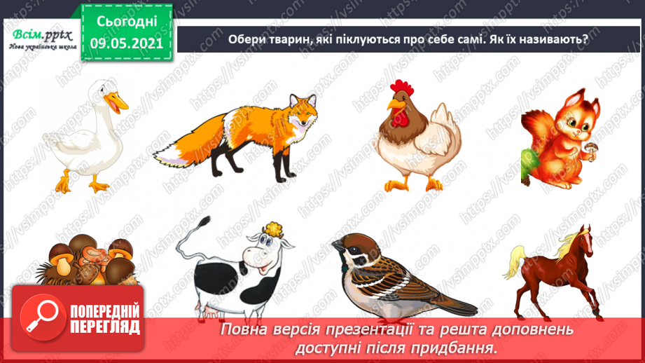№070 - Як дикі тварини стали свійськими?20