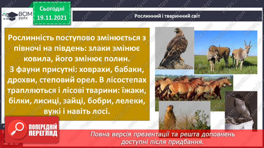 №038 - У чому виявляються особливості рослинного й тваринного світу Європи й Азії?20