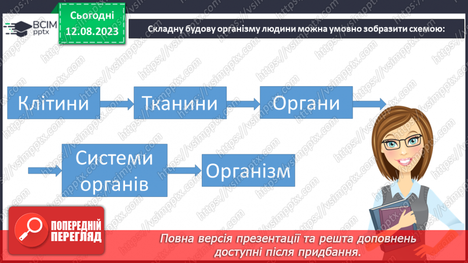 №13 - Людина як організована форма життя. Поняття про основні системи людини та їх значення.27