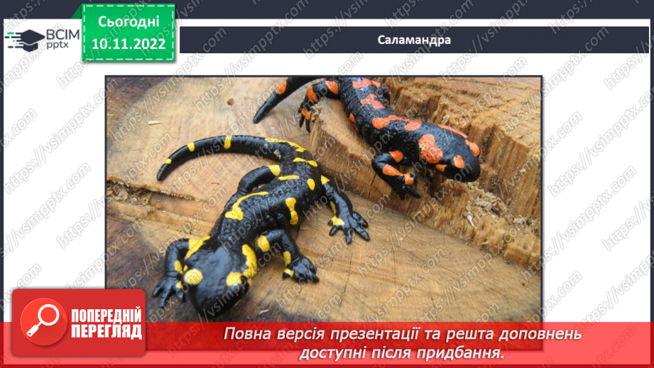 №038 - Риби, земноводні та плазуни.15 №038 - Риби, земноводні та плазуни.15