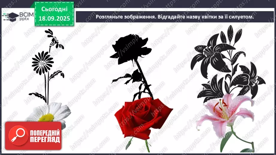 №05 - Основні поняття: силует СМ: методична таблиця на розпізнавання силуетів (фото шести квіток і силуети чотирьох квіток)10 №05 - Основні поняття: силует СМ: методична таблиця на розпізнавання силуетів (фото шести квіток і силуети чотирьох квіток)10