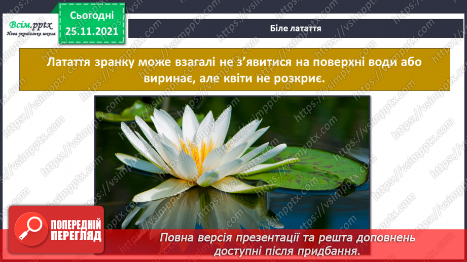 №099 - Які трав’янисті рослини називають «синоптиками», а які — «годинниками»?10