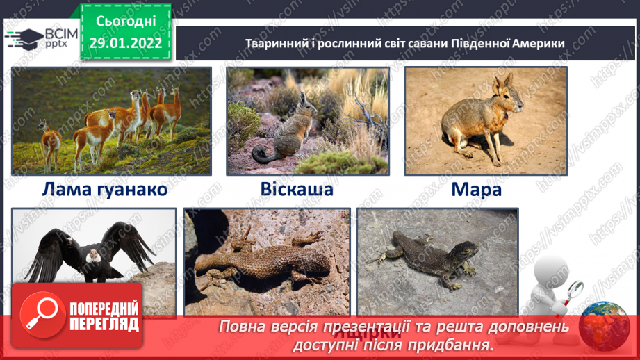 №061 - Рослинний і тваринний світ Південної Америки16 №061 - Рослинний і тваринний світ Південної Америки16