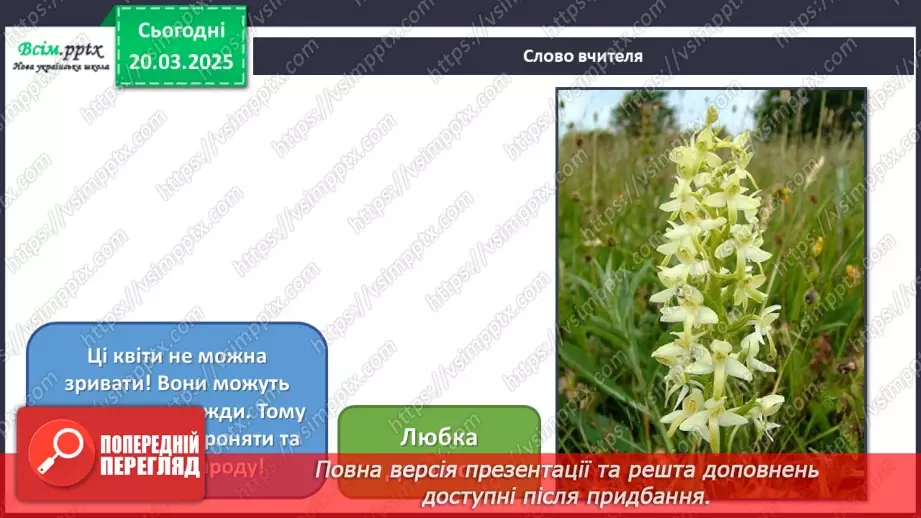 №28 - Квіткові фантазії11 №28 - Квіткові фантазії11