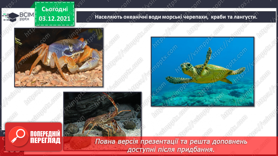 №045-47 - Океани Землі. Особливості природи океанів.13 №045-47 - Океани Землі. Особливості природи океанів.13