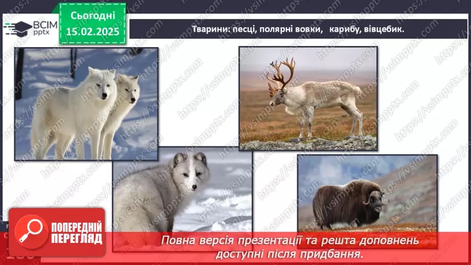 №46 - Природні зони Північної Америки. Арктичні пустелі. Тундра. Ліси помірного поясу.10