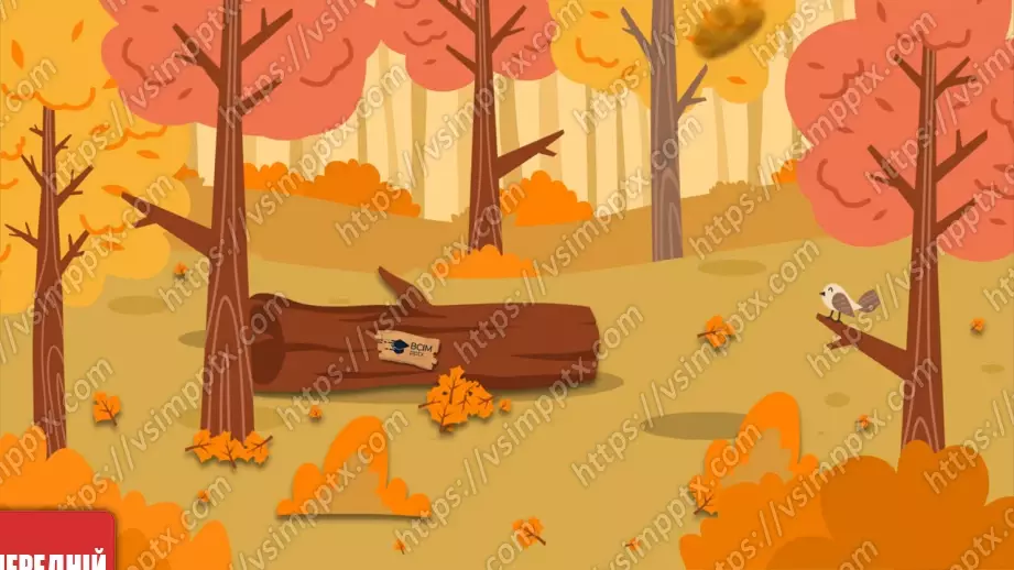 №003 - Звуки і кольори24 №003 - Звуки і кольори24