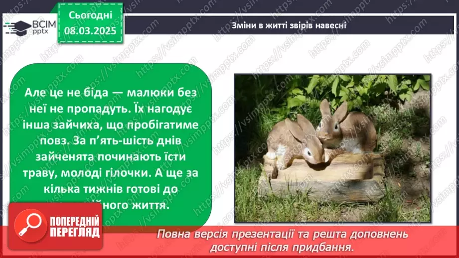 №0078 - Які зміни в житті звірів навесні13 №0078 - Які зміни в житті звірів навесні13