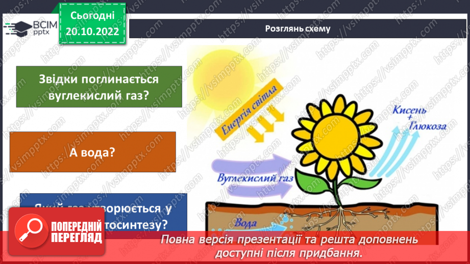 №029 -Процес фотосинтезу.11 №029 -Процес фотосинтезу.11