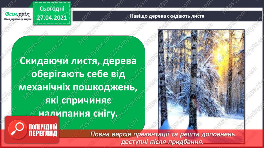 №032 - Як рослини готуються до зими10