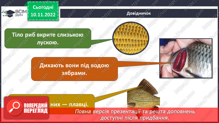 №038 - Риби, земноводні та плазуни.5 №038 - Риби, земноводні та плазуни.5