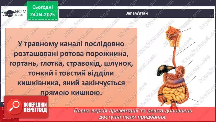 №096 - Травна система. Здорове харчування. ст.137-13910