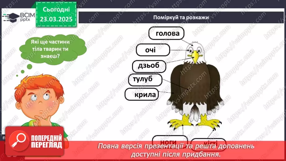 №083 - Частини тіла тварин. Хто великий?13 №083 - Частини тіла тварин. Хто великий?13