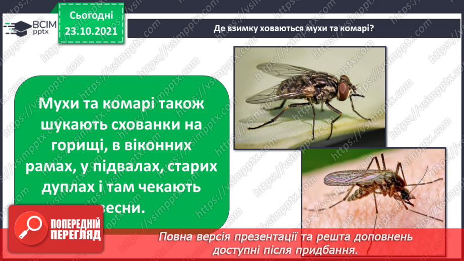 №030 - Як територія може стати домівкою? Комікс: «Як зимують комахи?»21 №030 - Як територія може стати домівкою? Комікс: «Як зимують комахи?»21