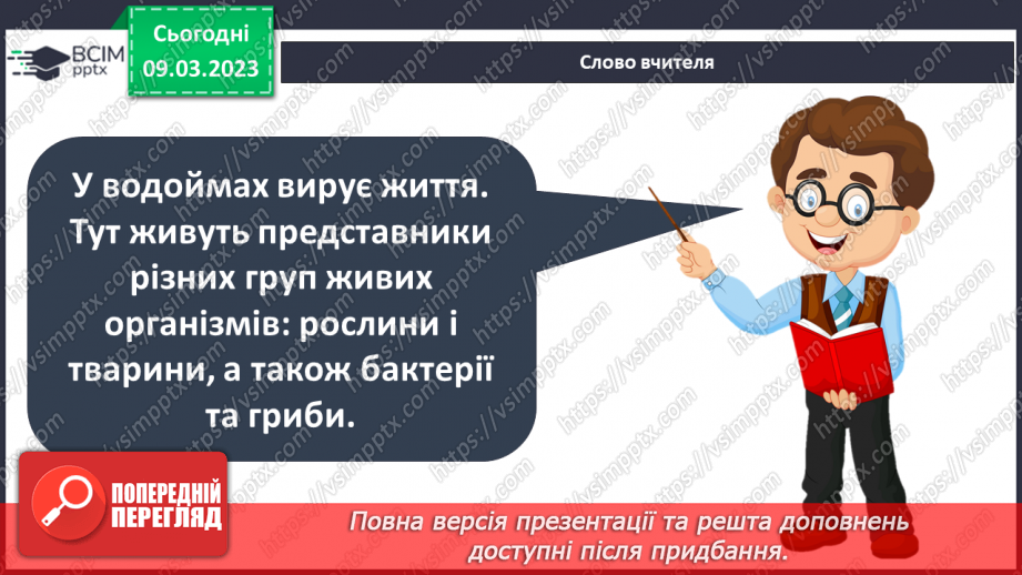 №080 - Ставок і ліс як екосистеми.11