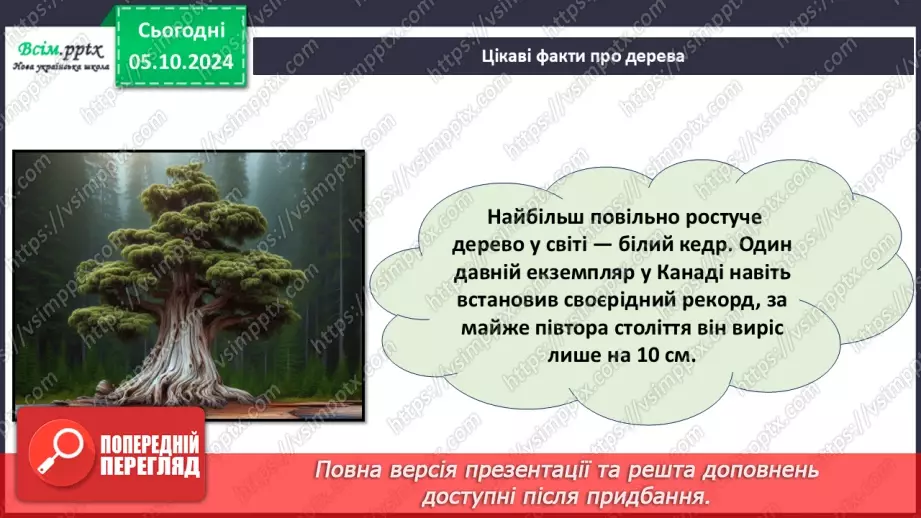 №07 - Аплікація з паперу. Проєктна робота «Аплікація рослин, які ростуть на шкільному подвір’ї».19