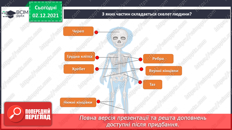 №15 - Моделювання опорно-рухової системи організму.4