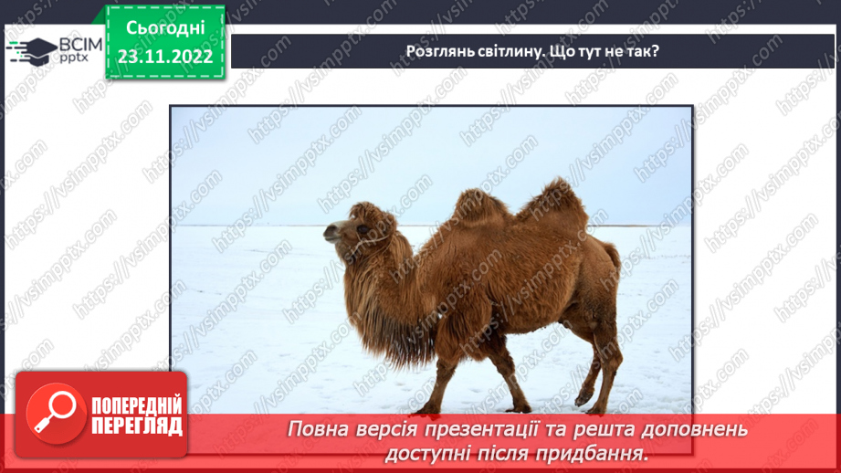 №043 - Теплові пояси Землі. Природні зони.34 №043 - Теплові пояси Землі. Природні зони.34